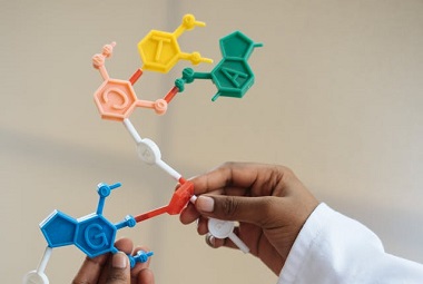 Sree Sankara College