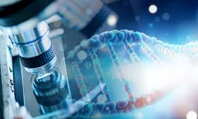 FYUGP B.Sc BIOTECHNOLOGY (Honours)