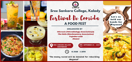 Festival De Comida – Food Fest