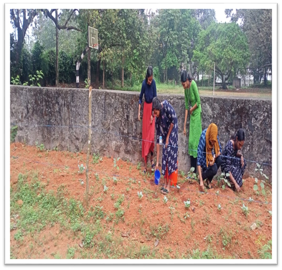 Organic Farming by the Department of Environment Science and Management